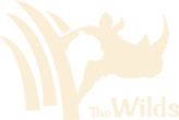 The Wilds